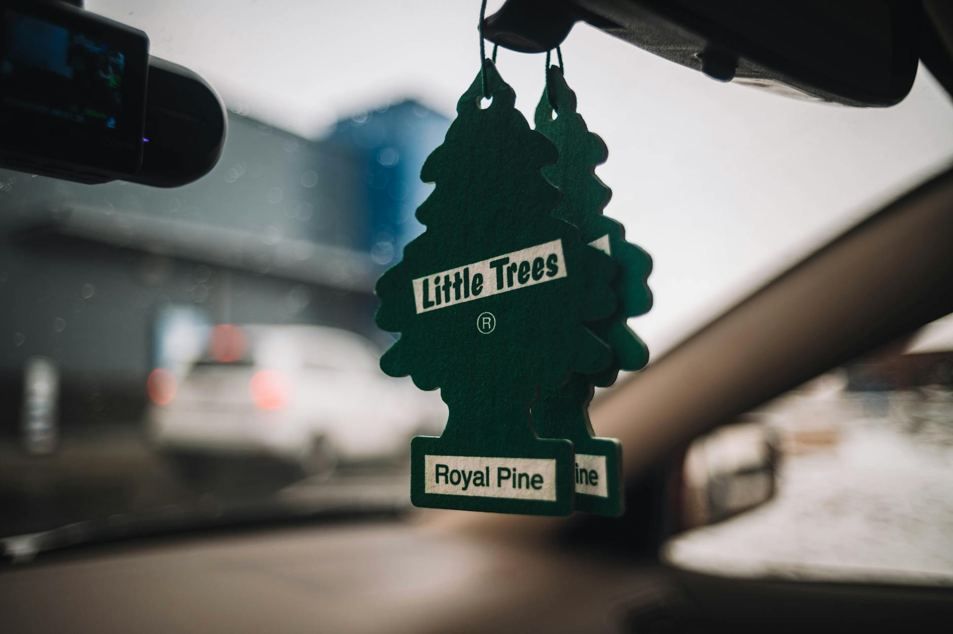 Zielony choinkowy odświeżacz Royal Pine wiszący przy lusterku w aucie